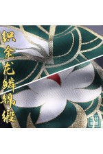1/3 Delusion Honkai Star Rail HSR Dan Heng Cosplay Costume